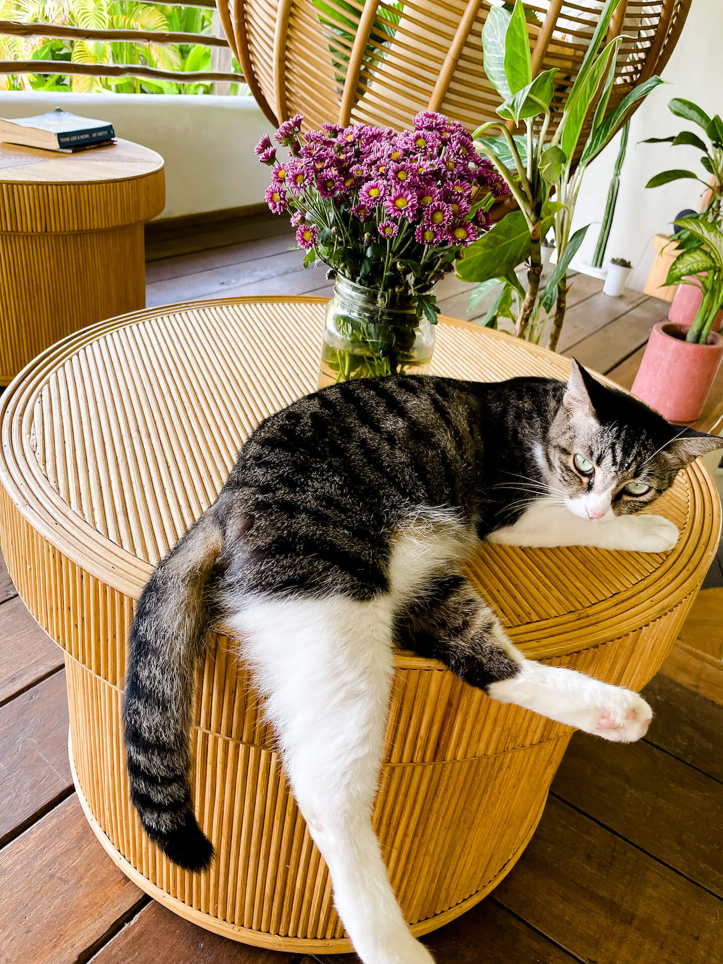 2d5e0c4694f0a08bb10f9b13c7151713