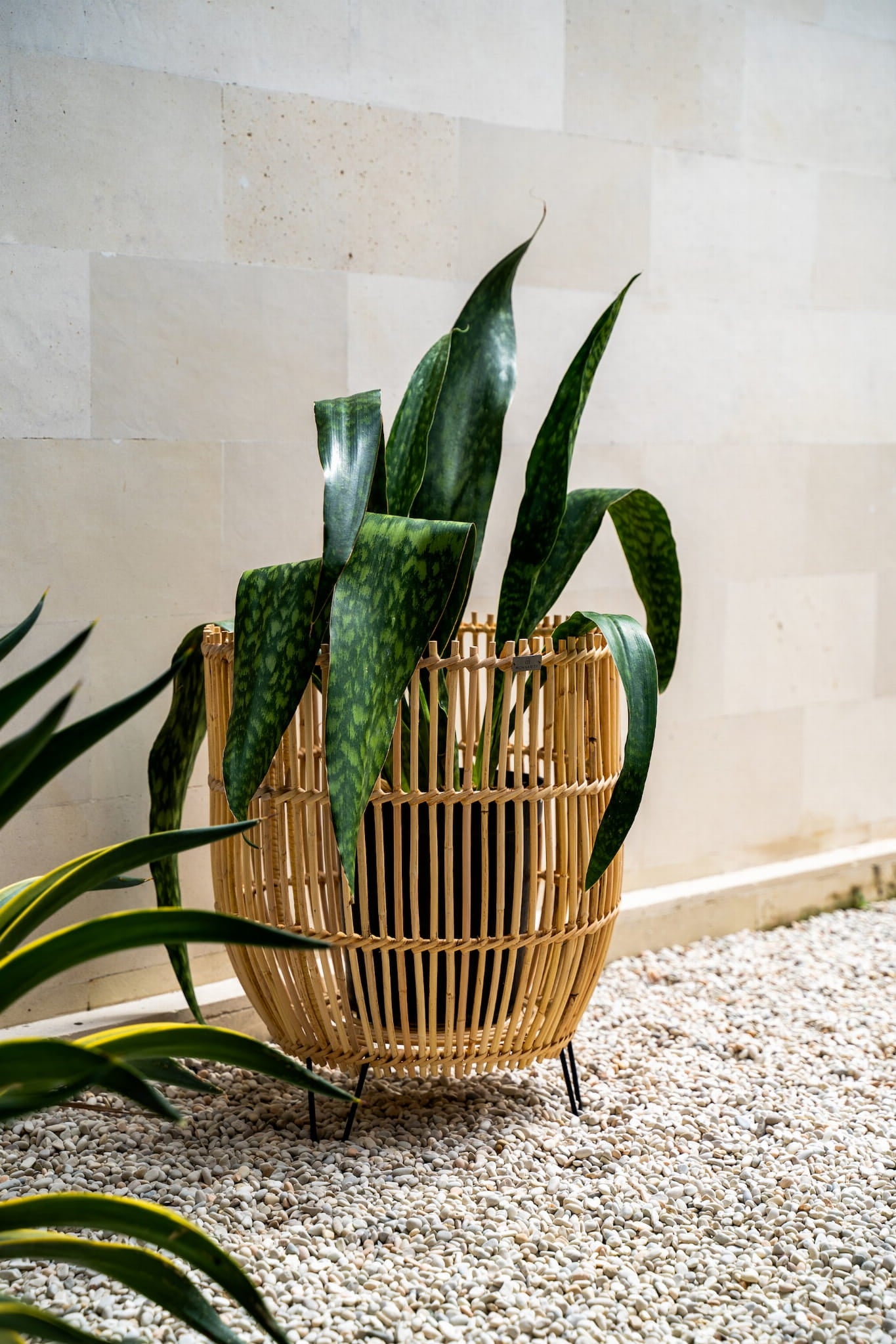 POT BASKET RATTAN LAURA SET OF 2