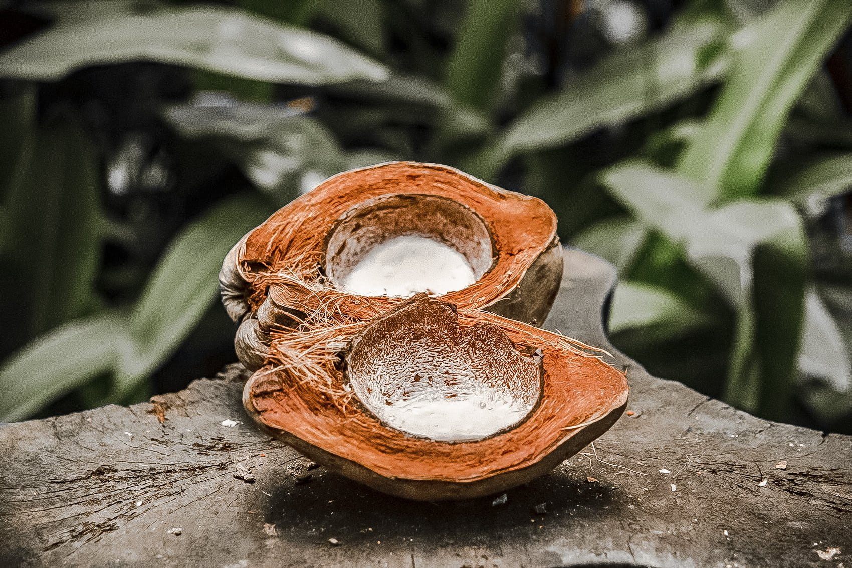 84cc37f099d245b5bb4f1c1049f2a807