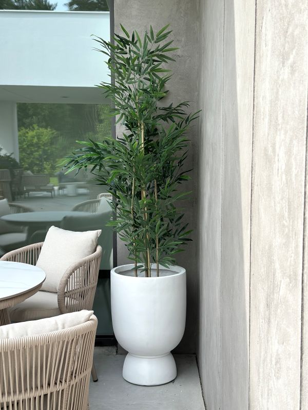 e1f6312b3a6537e0013db3f9b4c63473