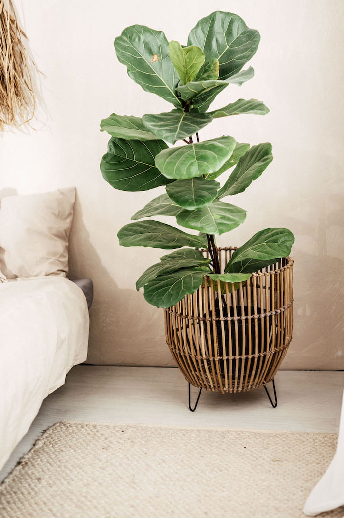 RATTAN POT BASKET GREY LAURA SET OF 3