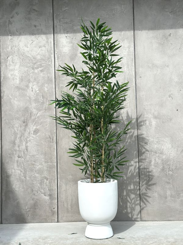 115499cfca80e25294d00e8d71e6c35a