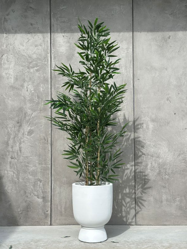 2937dbe5f82ed1647776f28d6427b16d