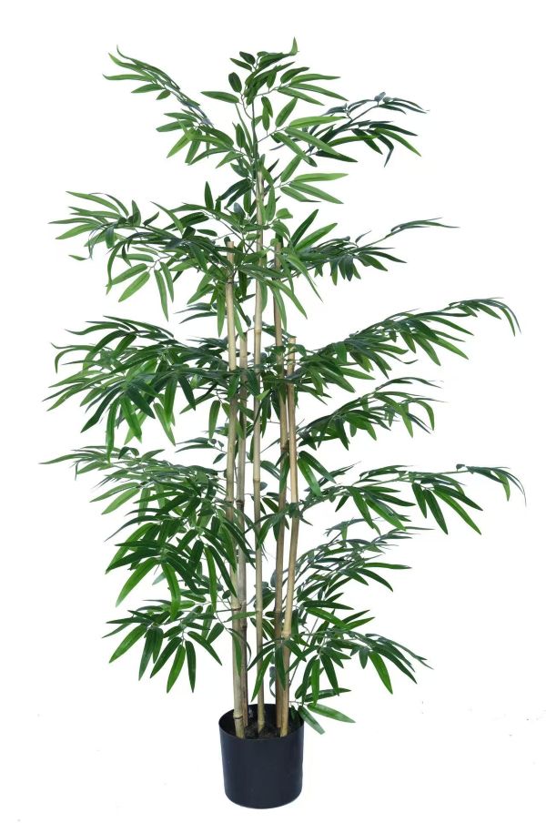 0f54b902b9241b6d787201091e808e61