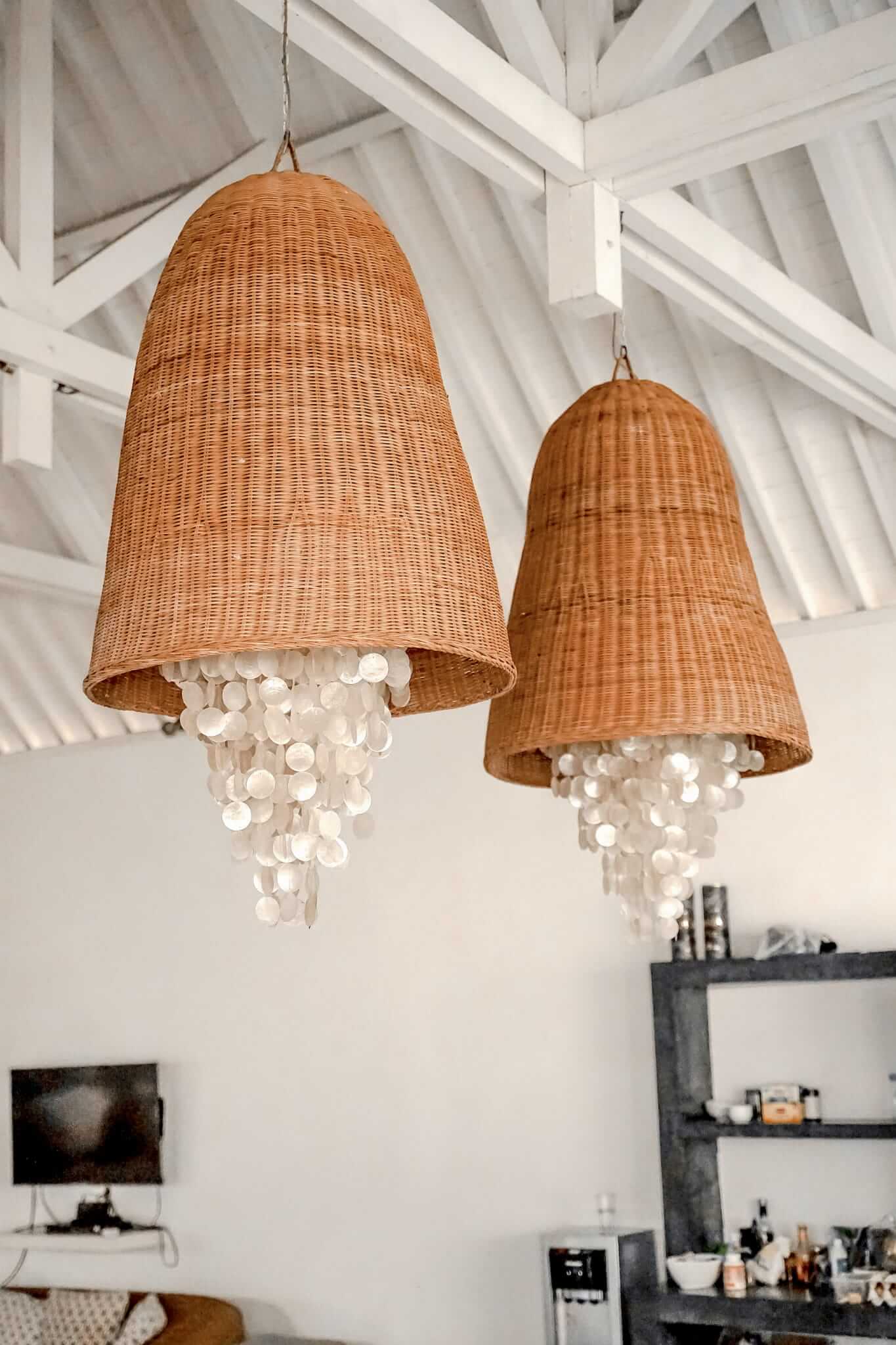 SHELL LAMPS