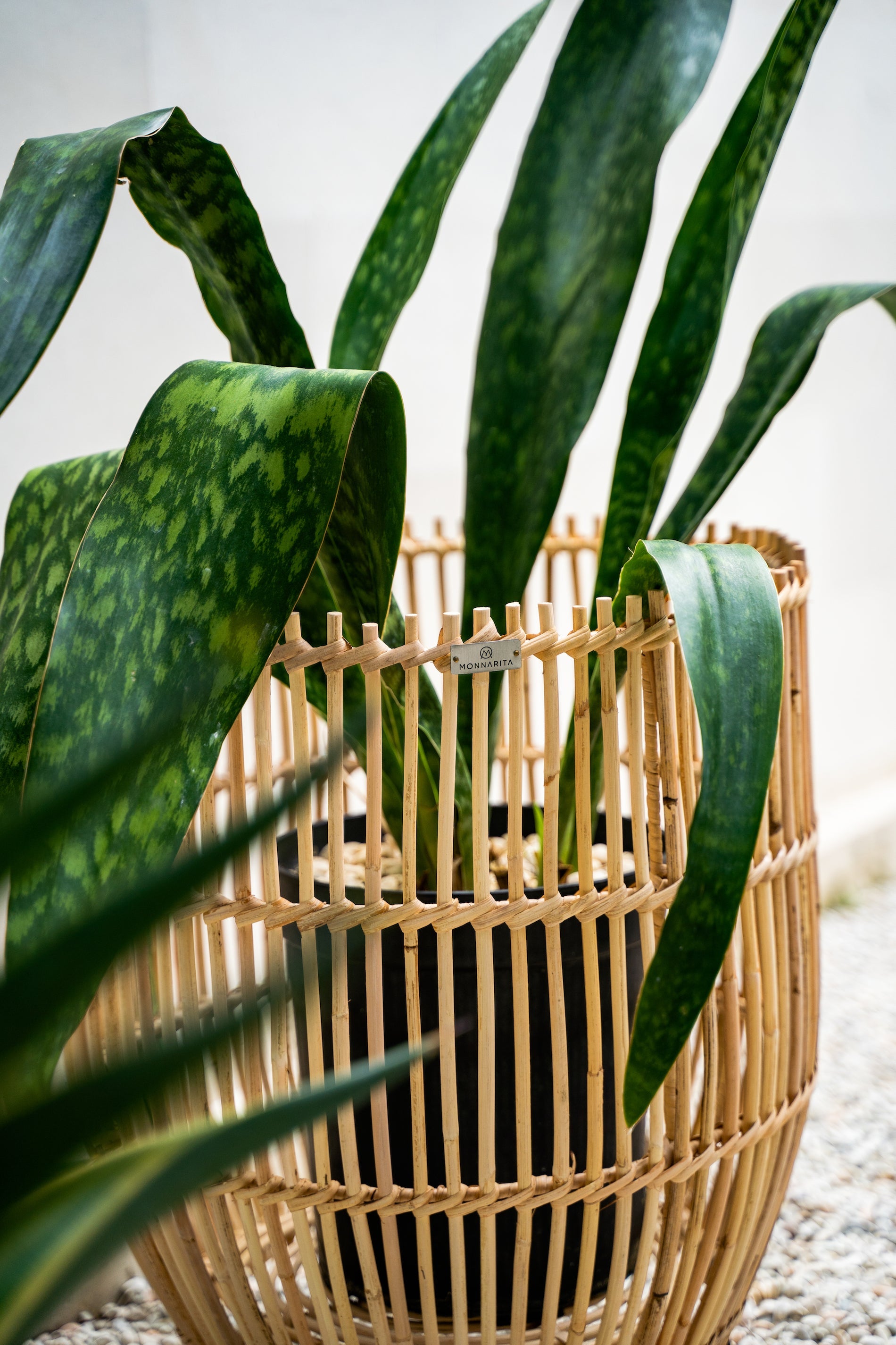 Flower Stand/Pot - Rattan Pot - Boho Style Decor - Monnarita - handmade decor